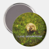 I Liebe Erdhornmagnet Magnet (Vorderseite/Rückseite)