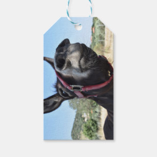 I Liebe-Esel! Geschenkanhänger