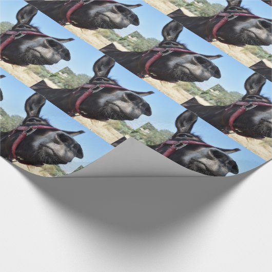 I Liebe-Esel! Geschenkpapier (Ecke)