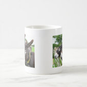 I Liebe-Esel! Kaffeetasse (Mittel)