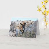 I Liebe-Esel! Karte (Gelbe Blume)