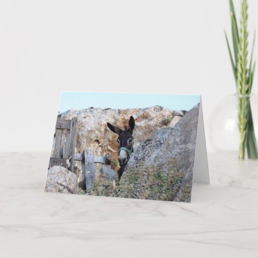 I Liebe-Esel! Karte (Vorderseite)