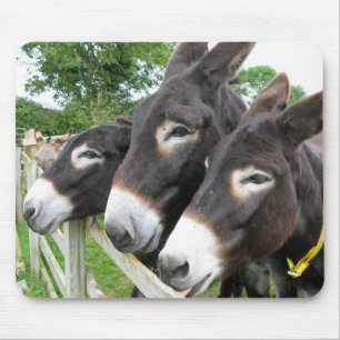 I Liebe-Esel! Mousepad