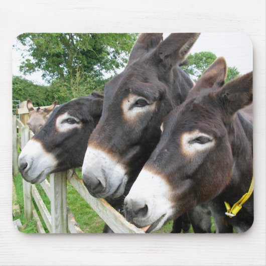 I Liebe-Esel! Mousepad (Vorne)