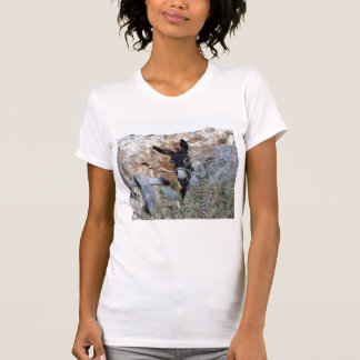 I Liebe-Esel! T-Shirt