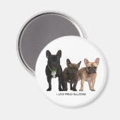 I Liebe French Bulldogs Magnet (Vorderseite/Rückseite)