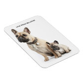 I Liebe French Bulldogs Magnet (Rechte Seite)