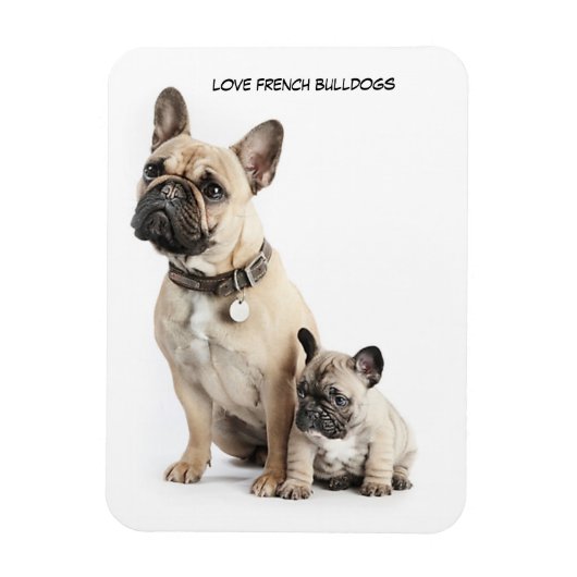 I Liebe French Bulldogs Magnet (Vertikal)