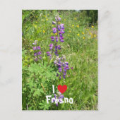 I Liebe Fresno Postkarte (Vorderseite)