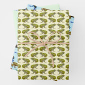 I Liebe Frogs Geschenkpapier Set (Beispiel)