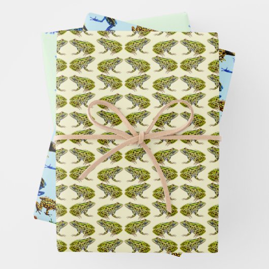 I Liebe Frogs Geschenkpapier Set (Beispiel)