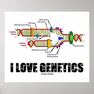 I Liebe Genetik (DNA-Replikation) Poster