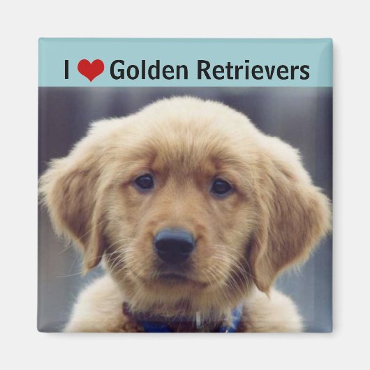I Liebe Golden Retrievers Niedliche Welpe Magnet (Vorne)