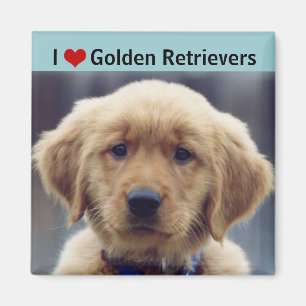 I Liebe-goldene Retriever-niedlicher Welpe Magnet