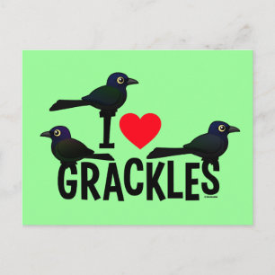 I Liebe Grackles Postkarte