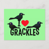 I Liebe Grackles Postkarte (Vorderseite)