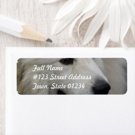 I Liebe Great Pyrenäen Mailing Labels (Insitu)