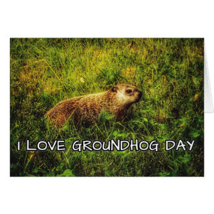 I Liebe Groundhog Day Grußkarte