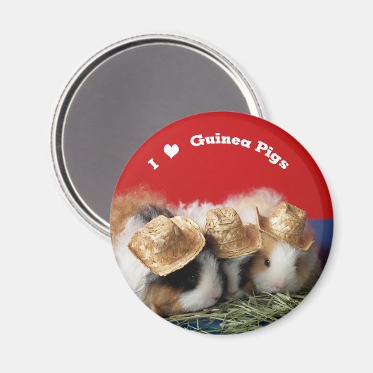 I Liebe Guinea Pigs Magnet (Vorderseite/Rückseite)