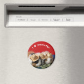 I Liebe Guinea Pigs Magnet (In Situ (Geschirrspüler))