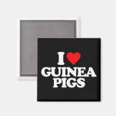 I LIEBE GUINEA SCHWEINE MAGNET (Vorderseite/Rückseite)