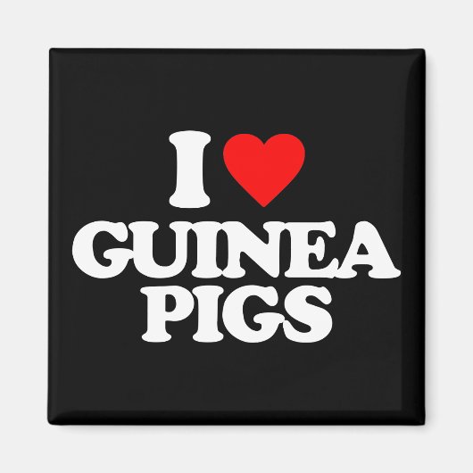 I LIEBE GUINEA SCHWEINE MAGNET (Vorne)