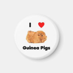 I Liebe Guinea Schweine Magnet