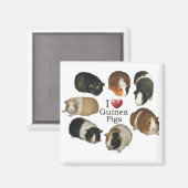 I Liebe Guinea Schweine Magnet (Vorderseite/Rückseite)