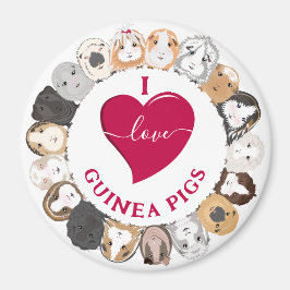 I Liebe Guinea Schweine Magnet