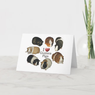 I Liebe Guinea Schweine - NoteCard Karte