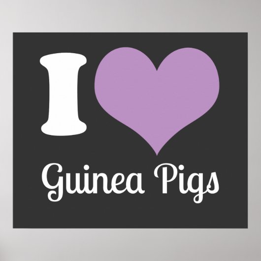 I Liebe Guinea Schweineplakat Poster (Vorne)