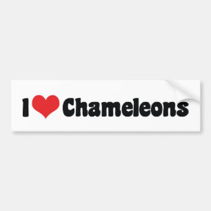 I Liebe Heart Chameleons - Lizard Lover Autoaufkleber