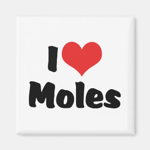 I Liebe Heart Moles Magnet