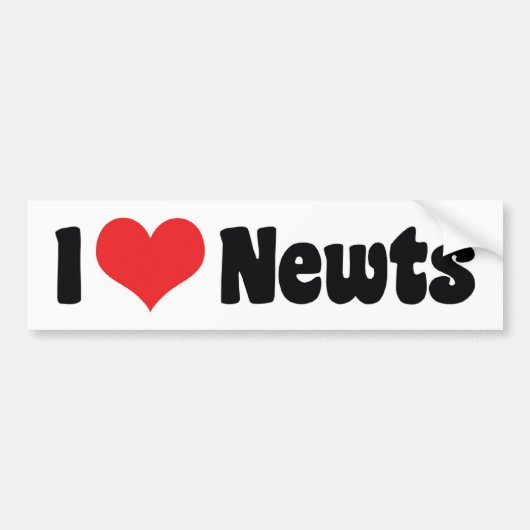 I Liebe Heart Newts Autoaufkleber (Vorne)