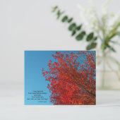I Liebe Herbstpostkarte Postkarte (Stehend Vorderseite)