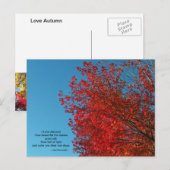 I Liebe Herbstpostkarte Postkarte (Vorne/Hinten)
