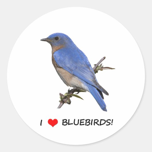I Liebe (Herz) Bluebirds Runder Aufkleber (Vorderseite)