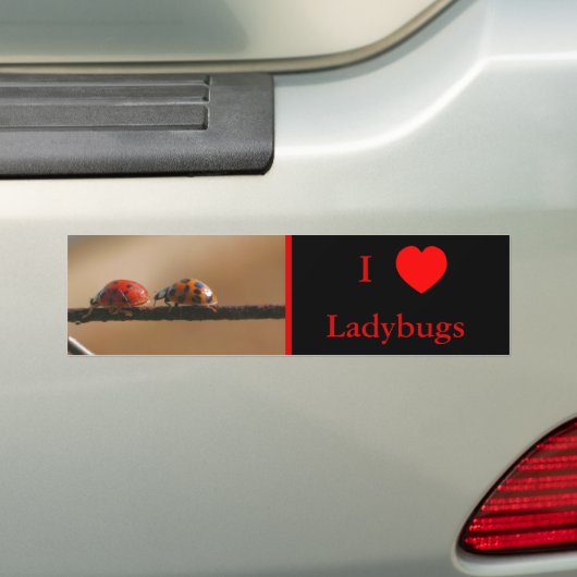 I Liebe Herz Ladybugs Natur 2 Autoaufkleber (Auf Auto)