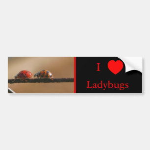 I Liebe Herz Ladybugs Natur 2 Autoaufkleber