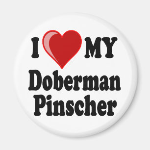 I Liebe (Herz) mein Dobermannpinscher-Hund Magnet