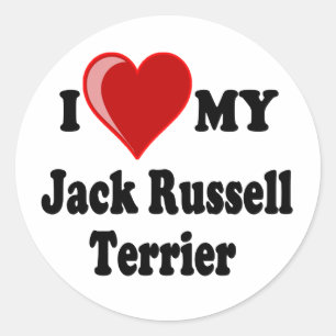 I Liebe (Herz) mein Jack-Russell-Terrier-Hund Runder Aufkleber