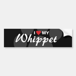 I Liebe (Herz) mein Whippet Autoaufkleber