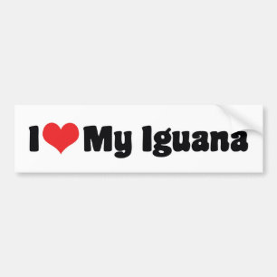 I Liebe Herz meine Iguana - Lizard Lover Autoaufkleber
