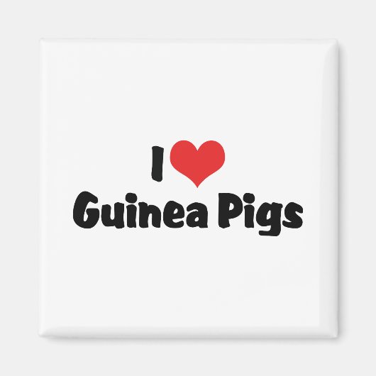 I Liebe Herzschweine Guinea Magnet (Vorne)