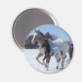 I LIEBE HORSES MAGNET (Vorderseite/Rückseite)