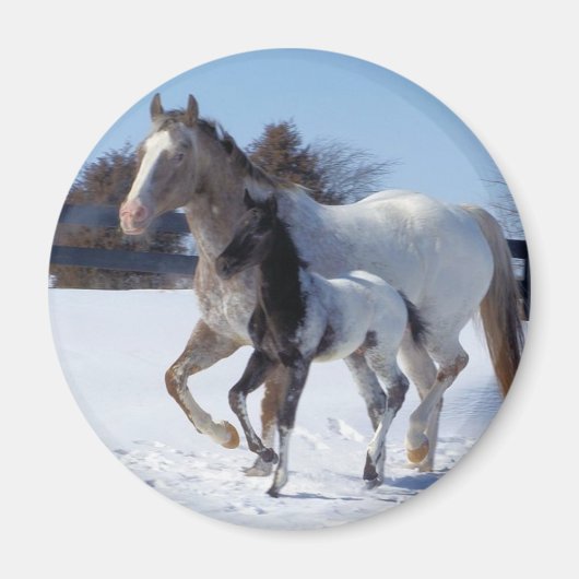 I LIEBE HORSES MAGNET (Vorne)