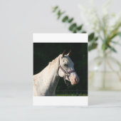 I LIEBE HORSES POSTKARTE (Stehend Vorderseite)