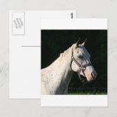 I LIEBE HORSES POSTKARTE (Vorne/Hinten)