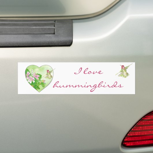 I Liebe Hummingbirds, Vogelsammlung Autoaufkleber (Auf Auto)
