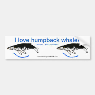 I Liebe Humpback WHALES - gefährdetes Tier - Natur Autoaufkleber